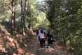 Camminata Solidale