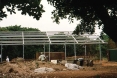 1996 - Casa Suore Missionarie