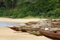 Camerun