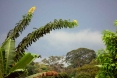 Camerun