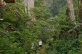 camerun-20