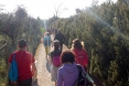 SanFelice07