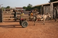 Guinea Bissau