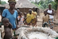 Guinea Bissau
