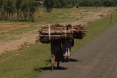 Kenya