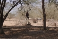 Kenya